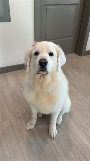 slob monster to princess daisy | Daisy