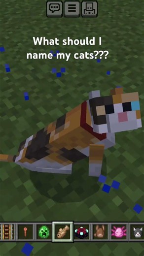 What should I name my cat???? 🐱🐱🐱#cat#minecraft