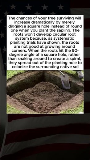 Why You Should Plant Trees in Square Holes