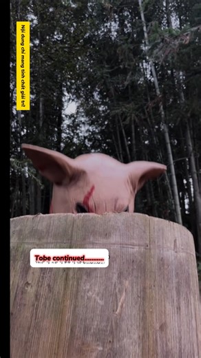 Chuyện lạ ở làng lá : Heo tính xuất hiện👿😱 #funny