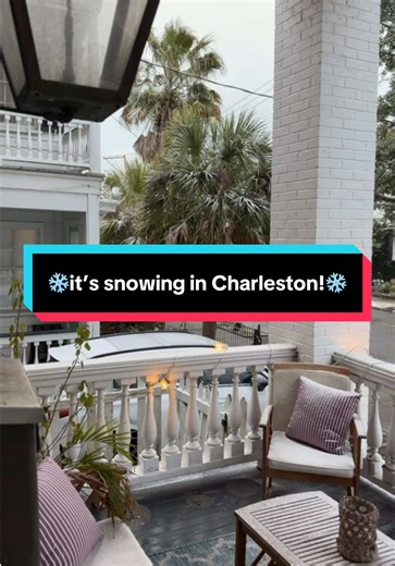 ❄️ & 🌴 weird but f-n beautiful! #snow #charleston #charlestonsnow #weather #snowstorm