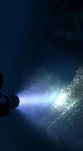 GoPro footage: When the ocean stares back 👁️🌊 | The Lowdown