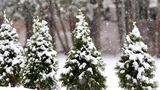 Will Michigan be snowy this winter? Old Farmer's Almanac releases 2025-26 predictions