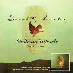 Sarah McLachlan - Ordinary Miracle