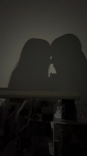 ずっといっしょにいよーね：同性愛カップルの影キスムービー