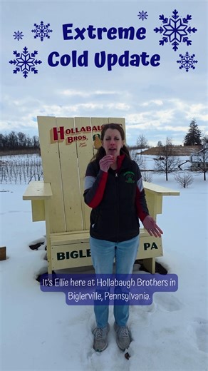 You’ve been asking how the extreme cold temps have affected our crops — here’s Ellie with a quick update straight from the farm. Stay tuned for more behind-the-scenes updates as we look ahead to spring! ❄️ | Hollabaugh Bros., Inc.
