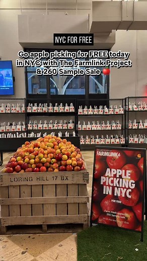 Go apple picking for FREE today in NYC with The Farmlink Project & 260 Sample Sale 🍎 For one day only, @farmlinkproject transformed @260SampleSale into an apple orchard, where all apples are free Stop by on 11/25 to pick up a bag of farm-fresh apples, sip cider, & first 500 get a free @Carhartt beanie! learn about Farmlink, a nonprofit that rescues surplus farm produce & delivers it to communities fighting hunger Didn’t make it apple picking this year? Don’t miss your chance to pick apples in t