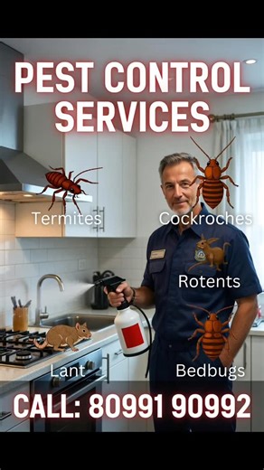 Venkanna Pest Control on Instagram: "Don’t let pests overstay their welcome. 🚫🐜 From stealthy rodents to buzzing invaders, our professional pest control services ensure your home stays safe, clean, and comfortable. ✅ Eco-friendly solutions ✅ Licensed & experienced technicians ✅ Guaranteed results ✅ Flexible scheduling Protect your peace of mind— Call 📲8099190992 book your service today! Pest Control And Home Cleaning Services all over Hyderabad. #PestControl #pestcontrolnearme #trending #1mil