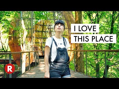 The Fernbank Museum in Atlanta, GA Is Amazing