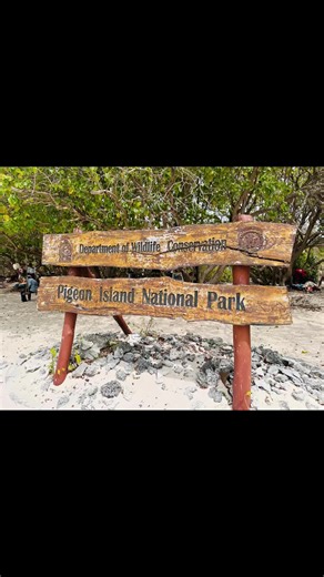 Exciting Pigeon Island Boat Trip with Dasun Lanka Tours