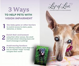 31 reactions · 11 shares | Today we're sharing tips for dogs with...