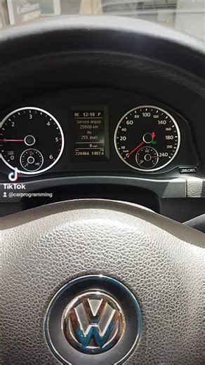 #CelebrarDeMulherParaMulher