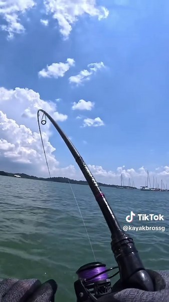 Want to experience a day (or night) out on the waters with us? Beginners are welcome! We provide all equipment, just show up and have fun! DM us for more info! 🎣 #fishing #singapore #singaporefishing #kayakfishing