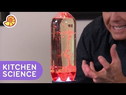 Make Your Own Lava Lamp 🌋 | Xploration DIY SCI