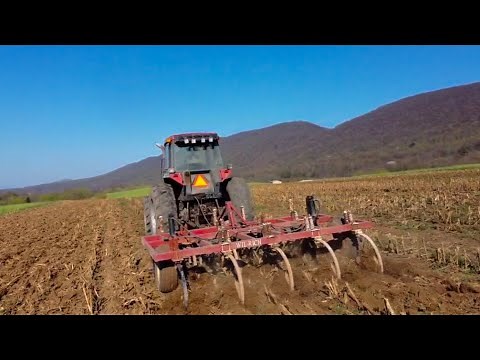 Spring Tillage Begins! | Chisel Plowing