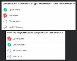 Basic structural framework of all types of membranes in the cel... | Filo