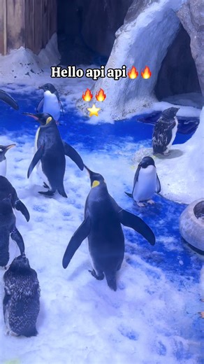 Explore VinWonders Nha Trang Aquarium Adventure