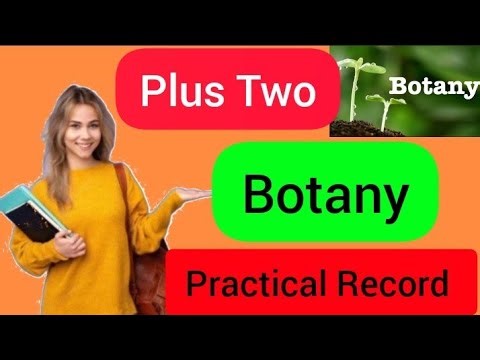 Plus two Botany Practical Record|How To Write Plustwo botany practical record|Plustwo practical exam