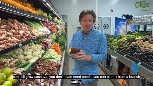 Oko'a Farms, a family-owned organic farm in Kula, Hawaii, is dedicated to cultivating a diverse array of fresh, sustainably grown produce to nourish both the Maui community and the environment. Founded by Ryan Earehart and Salvador Gil Coca, the farm transitioned from supplying farmers markets across Maui for 11 years to opening a permanent retail store at Kulamalu Town Center in 2023, offering nearly 100 varieties of fruits, vegetables, herbs, and value-added products like jams and sauces. Emph