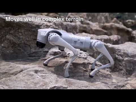 Unitree Go2 Robot Dog | Embodied Intelligence: AI+Robot
