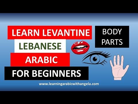 Body Parts- Levantine Arabic / Spoken Arabic- Lebanese - Learning Arabic With Angela