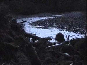 Alaska Brown Bear Hunt