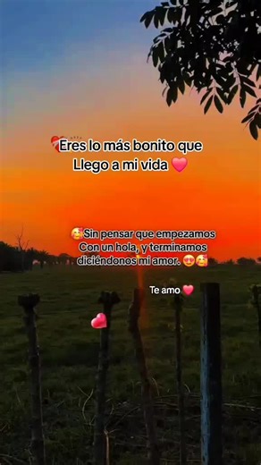 Videos de Felixsg2008 (@felix.2008a2) con “sonido original - Filiplaytv_Lyrics”