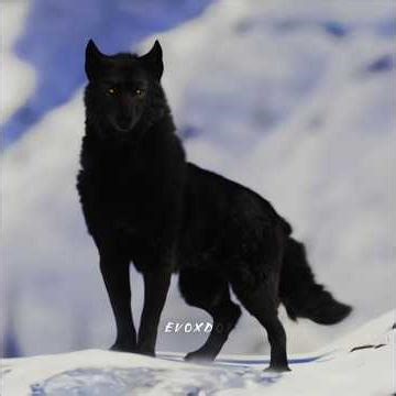 Leader for a Reason… 🐺 Buck | The Call of the Wild (2020) | MATADORA (Slowed + Reverb)