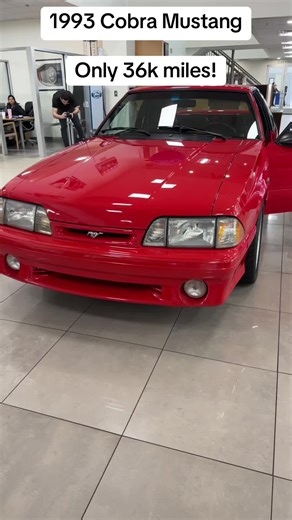 Discover the Stunning 1993 Cobra Mustang with Only 36k Miles