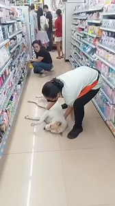104K views · 1K reactions | 7-ELEVEN | Stay in Thailand | Facebook