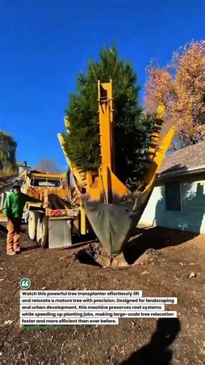 Tree Transplanter Truck in Action 🌲🚛 #Landscaping #HeavyEquipment #TreeMoving