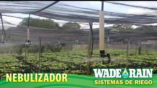 El nebulizador Wade Rain MILPDS es ideal para instalaciones de invernadero y viveros, arroja finas gotas que crean una nube de mojado uniforme que permite generar un microclima y controla la humedad del entorno. Se instalan con un espaciamiento de 1m a 1.5m y el diámetro de mojado es de: 2.2m a 4.8m. Consiguelo con tu distribuidor mas cercano | Wade Rain de México