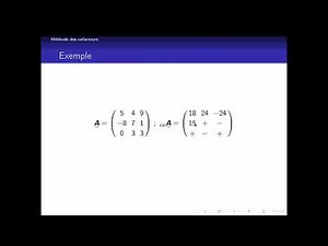 Inversion de matrices : méthode des cofacteurs et méthode de Gauss-Jordan