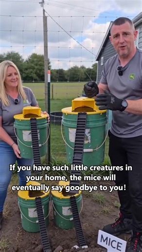 Humane Multi-Catch Mouse Trap for Home and Garden