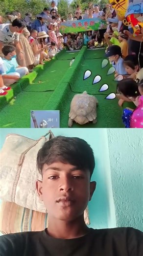 kachua and kargos ki Run#turtle #kachua #runner #youtubeshorts #factsinhindi