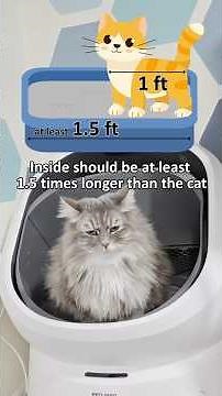 Thinking about getting an automatic litter box for your cat? Here are 5 things to consider!