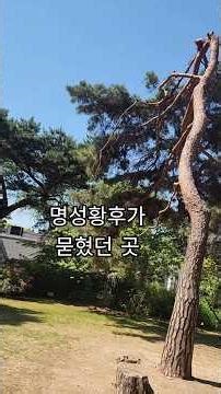 서울근교 추천 식물원 #홍릉숲 #국립산림과학원 무료입장 우리나라 최초수목원