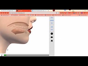 T - How to Make T Sound