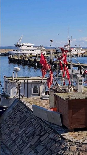 Der Hefen von Sassnitz #shorts #Ostsee #Hafen #Sassnitz #Rügen