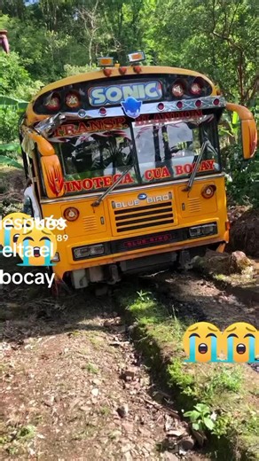 Videos de el chóofer .🏍️🛻🚌🚛🤝 (@guidoelielapicado) con “sonido original - 🇲🇽👑LA PATRONA👑🇲🇽”