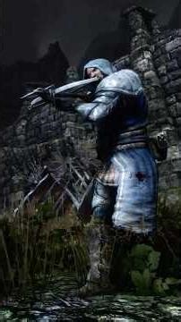 Skyrim's Ultimate Witch Hunter Build—the Witchkiller! 🌞 #skyrimse #skyrim #skyrimbuilds