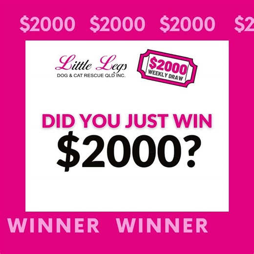 $𝟮,𝟬𝟬𝟬 𝗪𝗜𝗡𝗡𝗘𝗥 𝗔𝗟𝗘𝗥𝗧! 🥁 Drumroll, please… 🥁 Could it be YOU?! 🤩💰 🎉 Huge Congrats to PAM Z– this week’s lucky winner of our $2,000 Weekly Draw! Every entry supports us and we really appreciate it – and next week, YOU could be celebrating! 🎟️✨ 💸 Don’t miss out! Join here - https://www.club-draws.com/charity/little-legs #raffleprizes #winraffle #raffletickets #prize #raffle #dogsofinstagram #dogrescue #rescue #catfound #cats #cat | Little Legs Dog & Cat Rescue Qld Inc