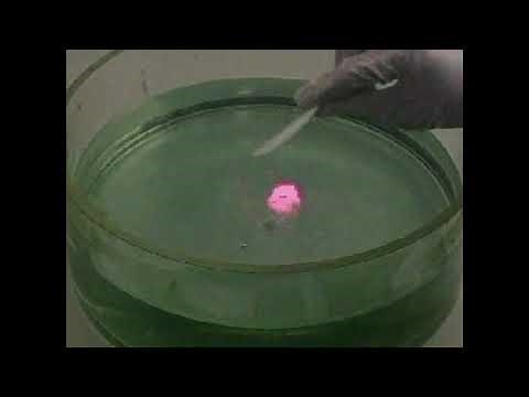 Réaction des alcalins avec l'eau