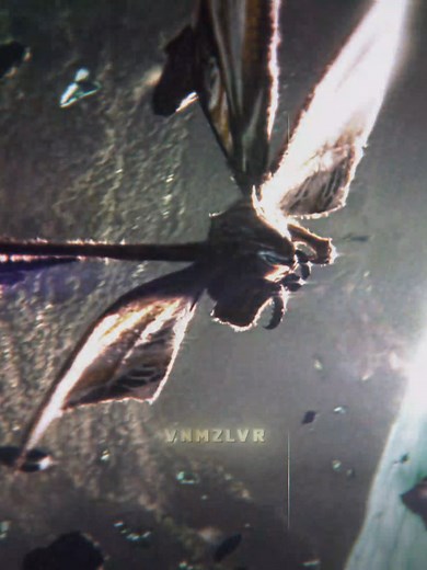 Mothra x Godzilla: Edits and Fan Reactions