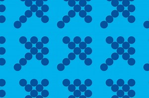 Daytona Beach Society of Space Professionals on Campus (SSPOC)