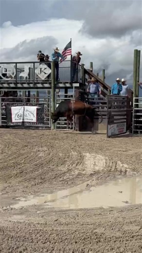 Pedro's 5th Place Finish at Southern Bucking Competition