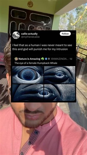 i feel that as a human i was never meant to see this and god will punish me for my intrusion