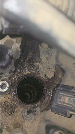 engine head gasket problem Toyota hilux #automobile