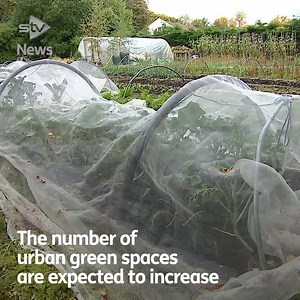 Life after lockdown: This is what Scotland could look like in the year 2050. bit.ly/3lJTDiK | STV News