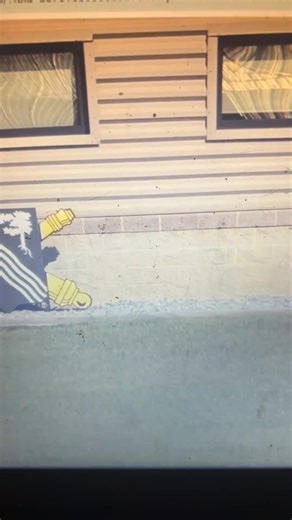 In the U.S. Army, a senior rater is a higher-ranking officer or non-commissioned officer (NCO) who provides a long-term potential assessment of a subordinate for their evaluation report. Considered the "owner" of the evaluation, they provide a broader, senior-level perspective on the rated soldier's future potential for promotions, command, schooling, and retention. Role and responsibilities Evaluates potential: Unlike the rater, who focuses on a soldier's day-to-day performance, the senior rate